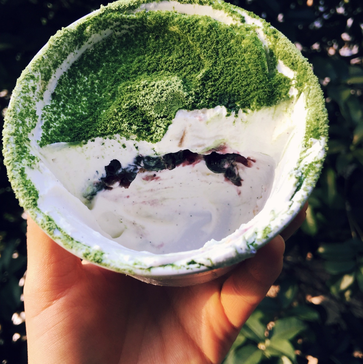【福田淳子】抹茶提拉米苏