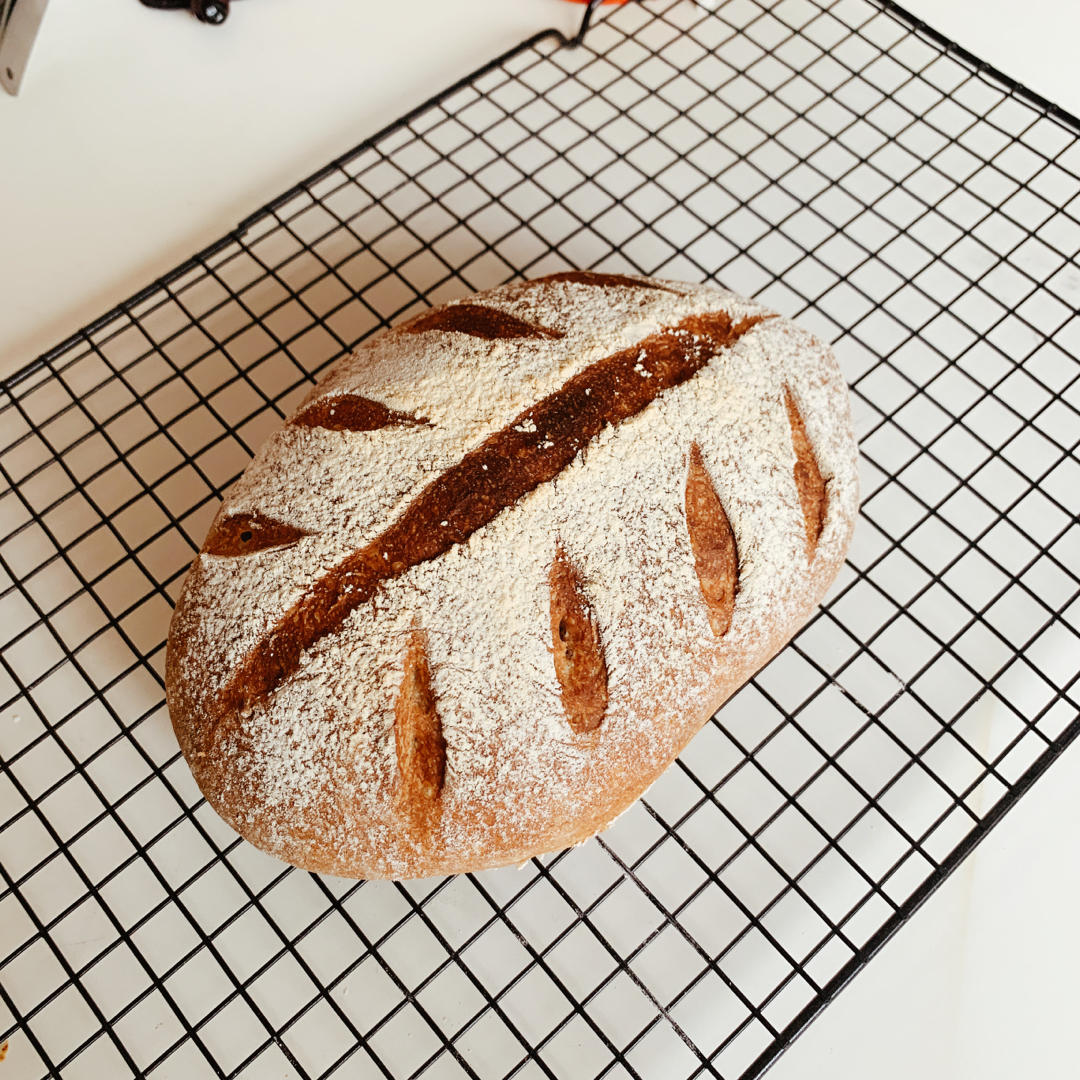 免揉意大利拖鞋面包ciabatta（吐血整理史上最全藤田千秋免揉欧包制作心得）