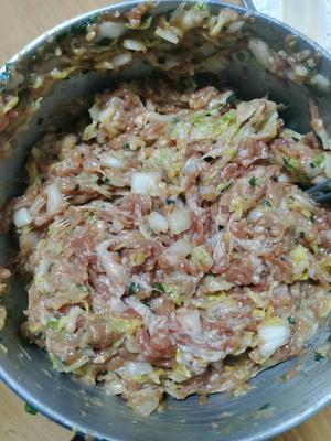 大白菜猪肉饺子（详细制作精确配方）的做法 步骤5