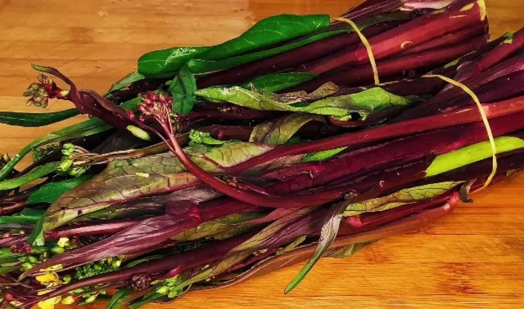 炒红菜苔（加水闷炒版）