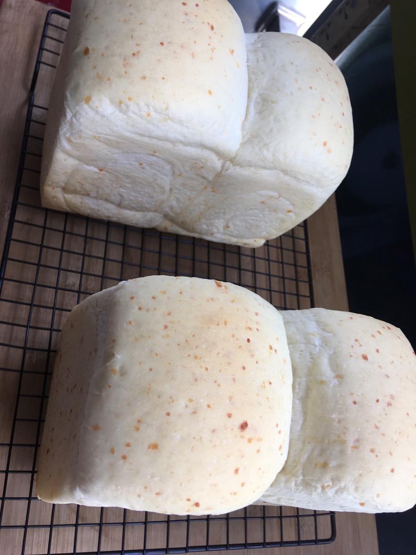 咸芝士吐司【不藏私】