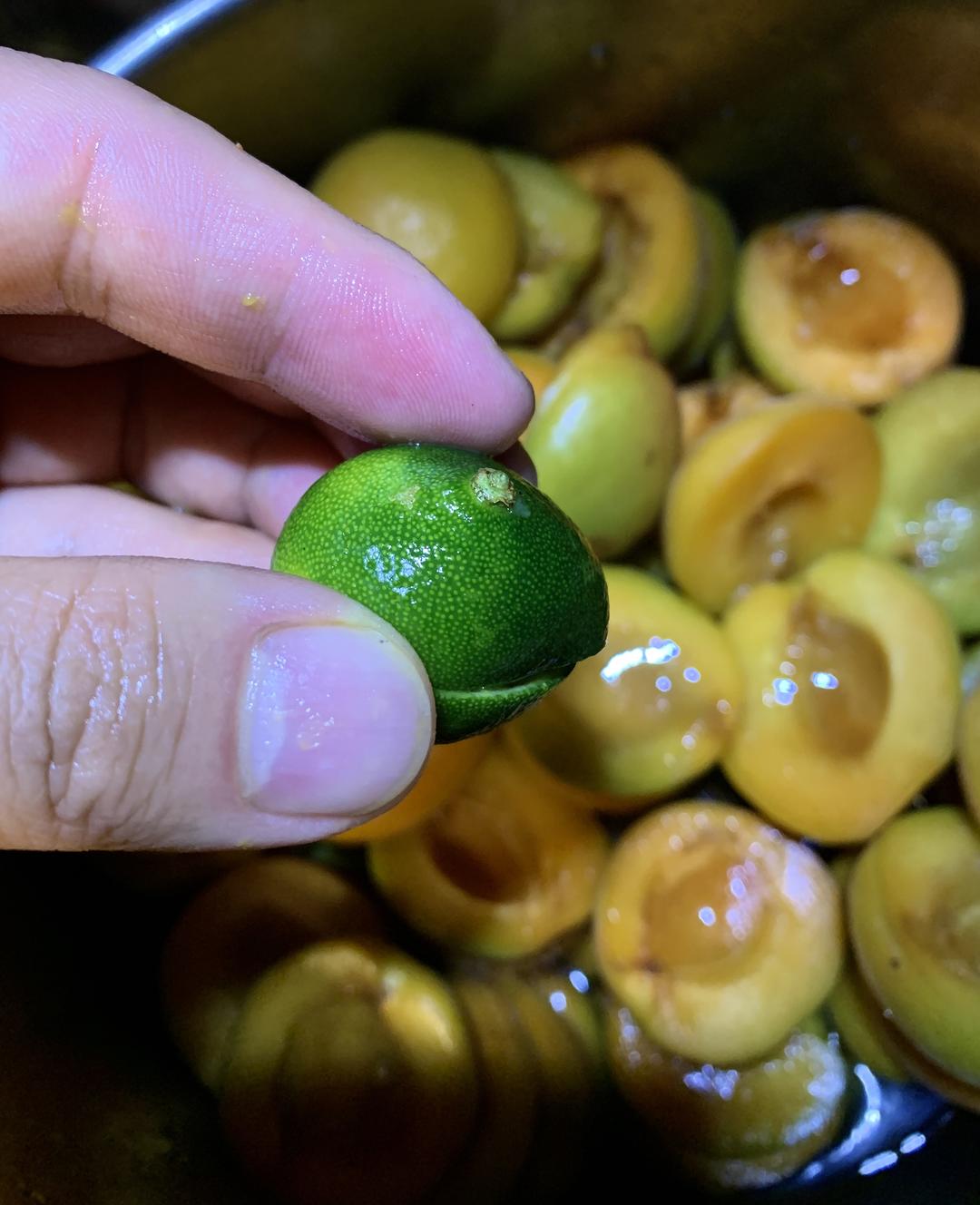 万能的黄杏酱的做法 步骤5