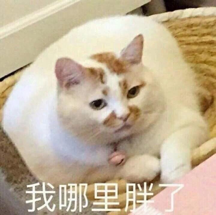 寝室吃什么？🥘的做法