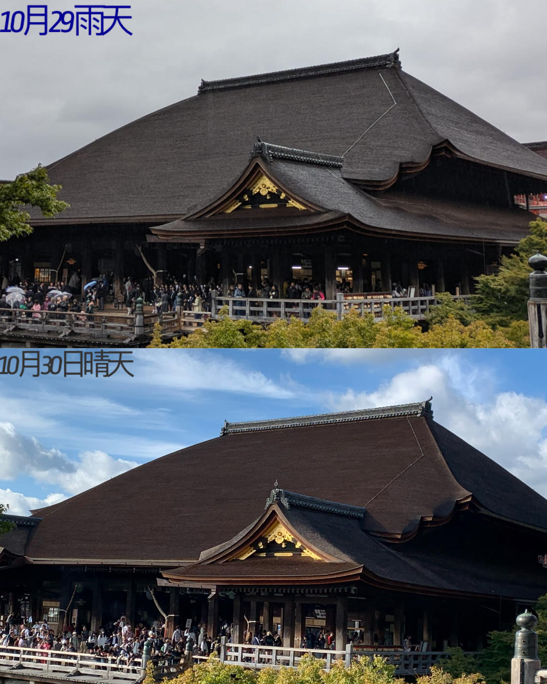 日本美食游
（19/10-02/11/2024）