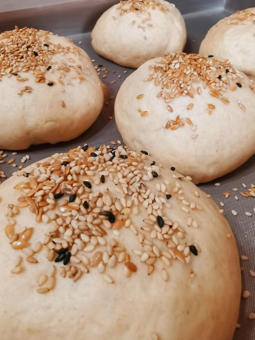 少油低糖｜全麦奇亚籽芝麻餐包｜复刻星巴克帕斯雀三明治面包胚，可做汉堡胚、热狗、三明治