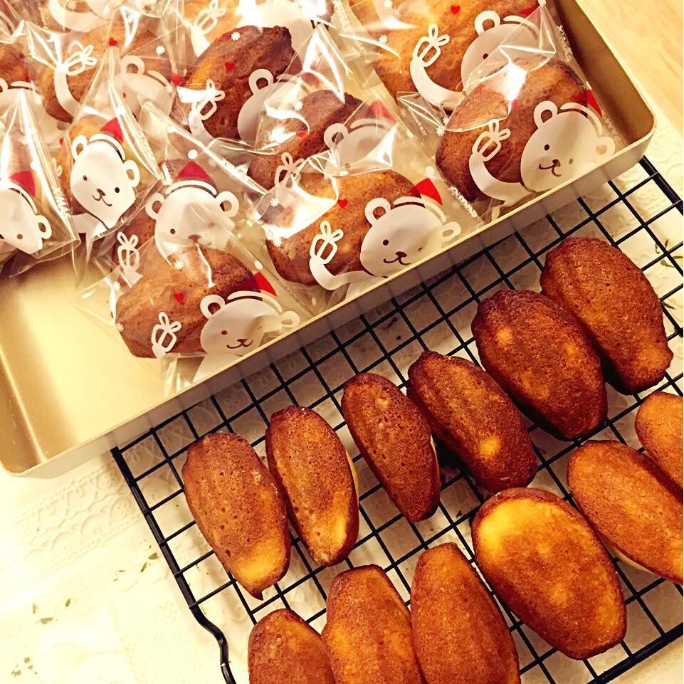 玛德琳（蓝带方）