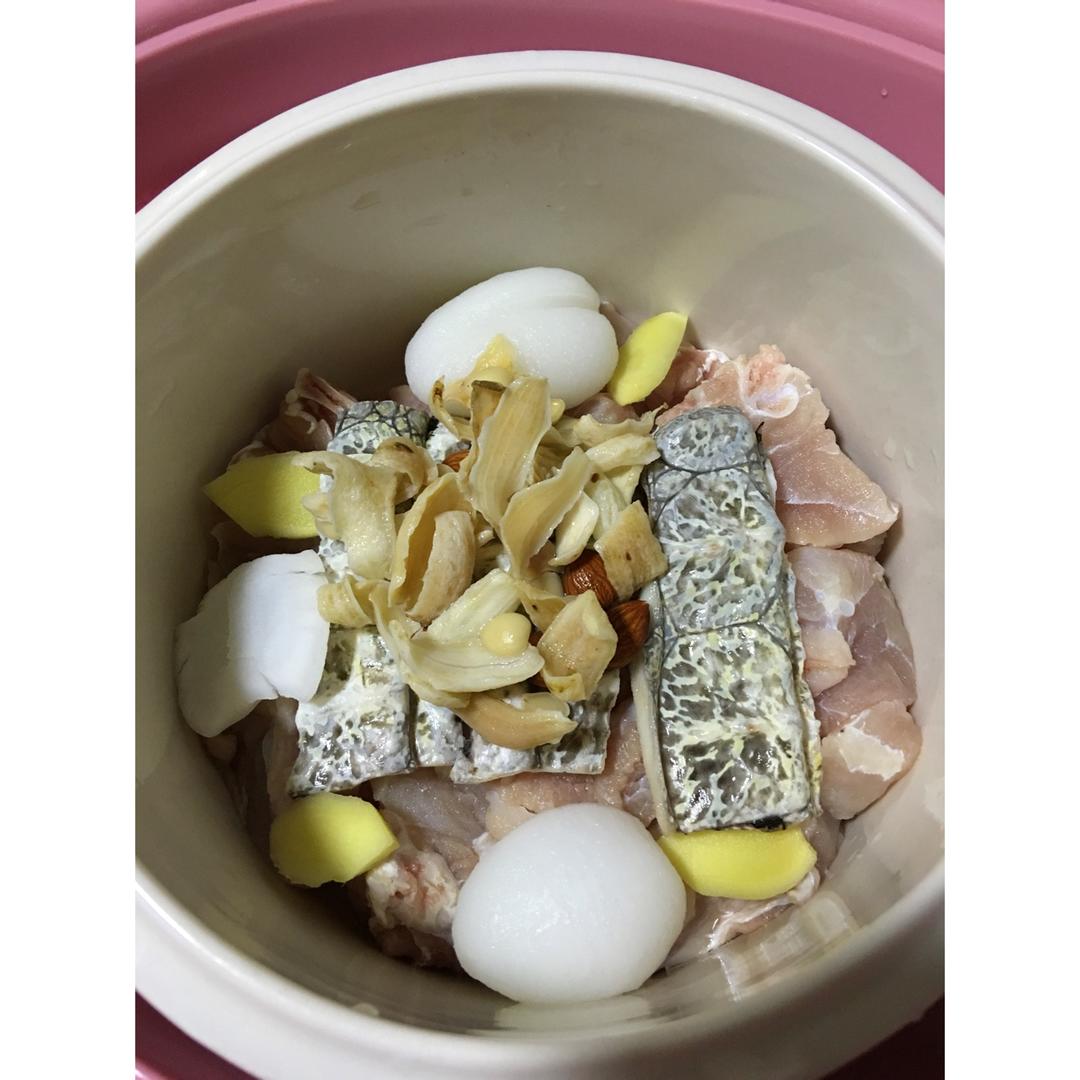 鳄鱼肉煲海底椰的全部作品