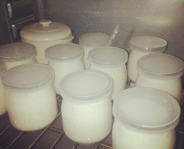 烤箱自制浓稠酸奶的做法