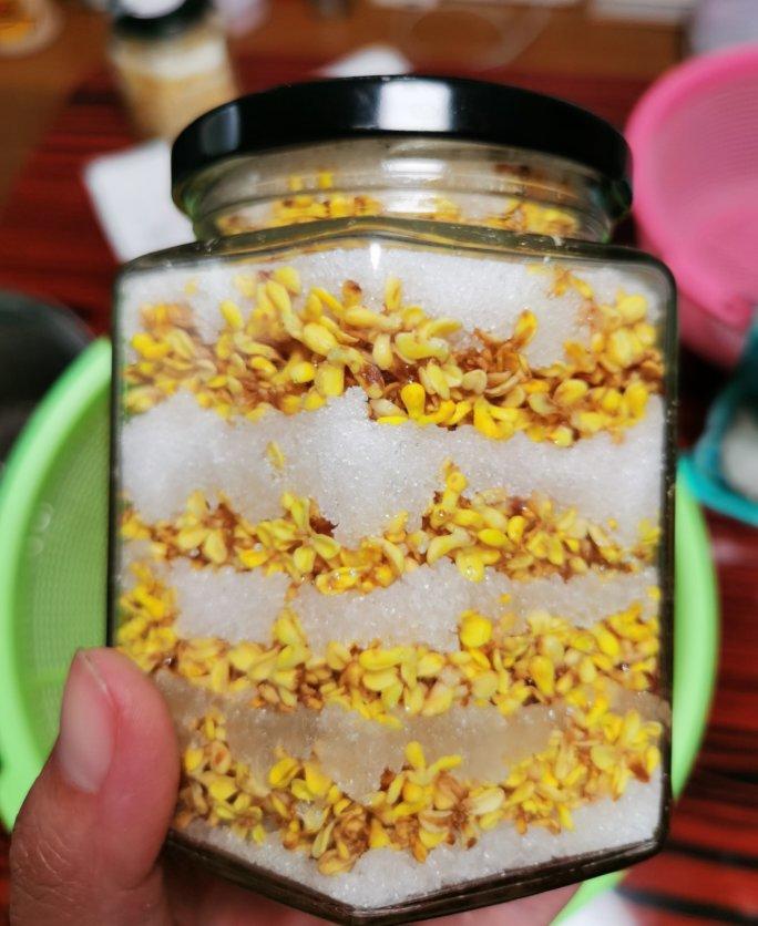 自制糖桂花和干桂花