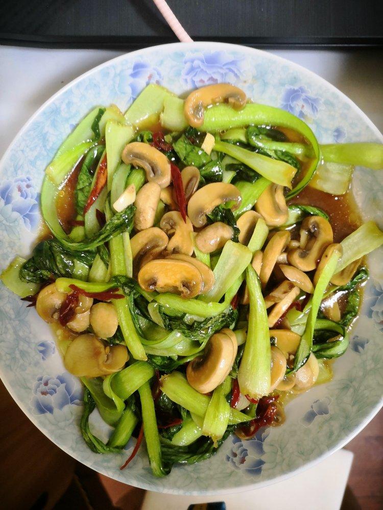 青菜烧香菇