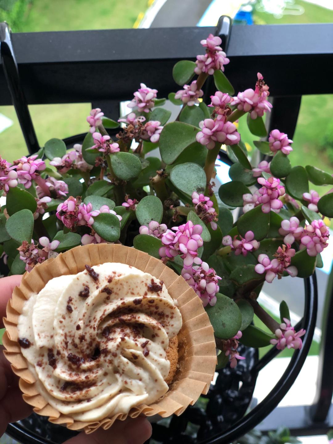 零失败纸杯蛋糕