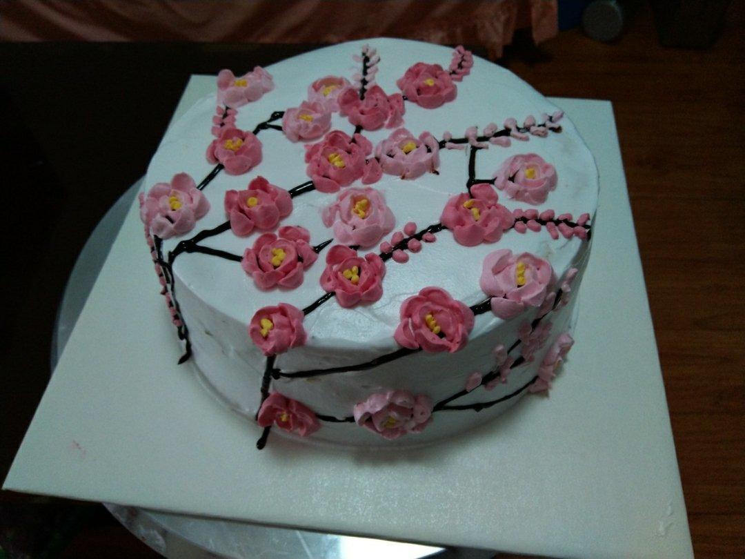 视频 奶油生日蛋糕手绘【浪漫樱花】裱花蛋糕装饰002 【仰望美食】