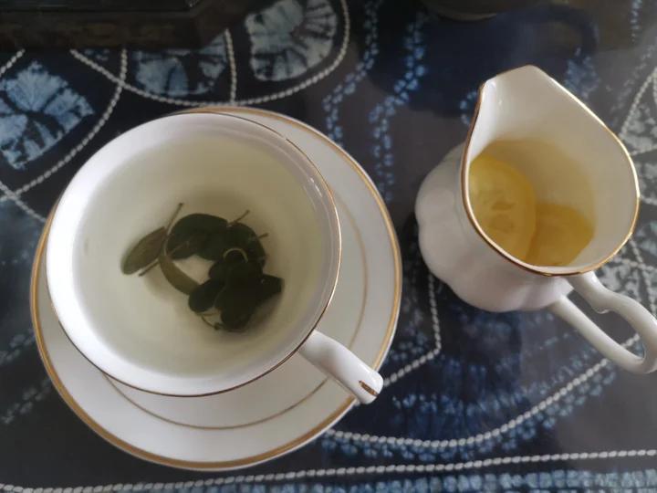 鼠尾草茶 Sage Tea