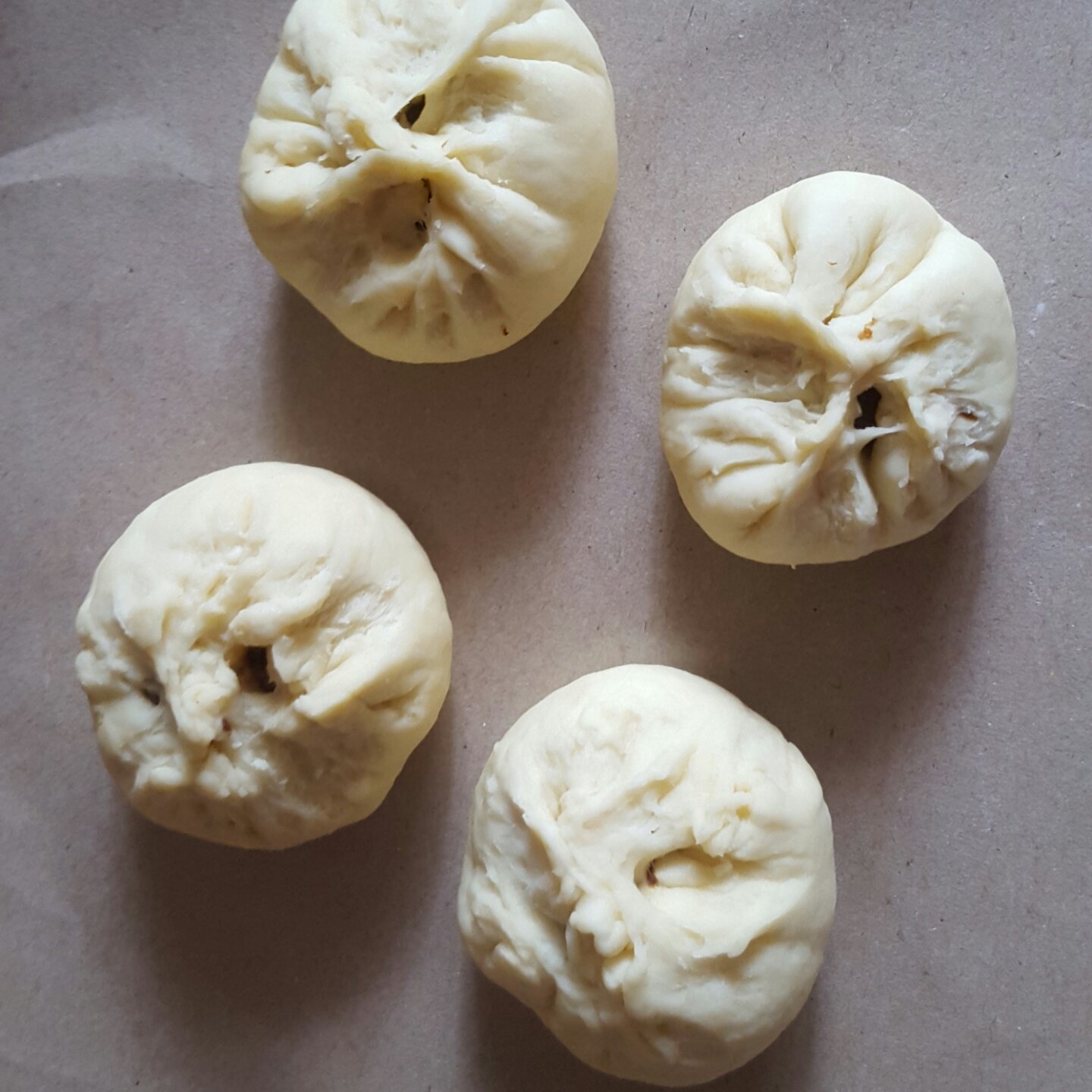 家庭手工肉馅大包子