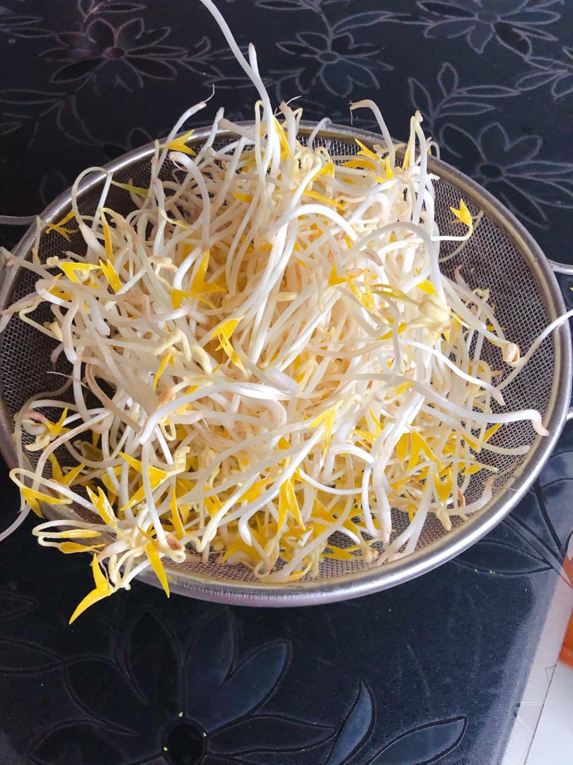 沥水篮发豆芽