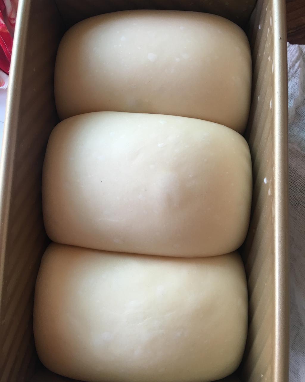 夺命软吐司(๑´ڡ`๑)超软拉丝极速方便的一次发酵吐司