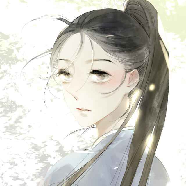 小家伙v