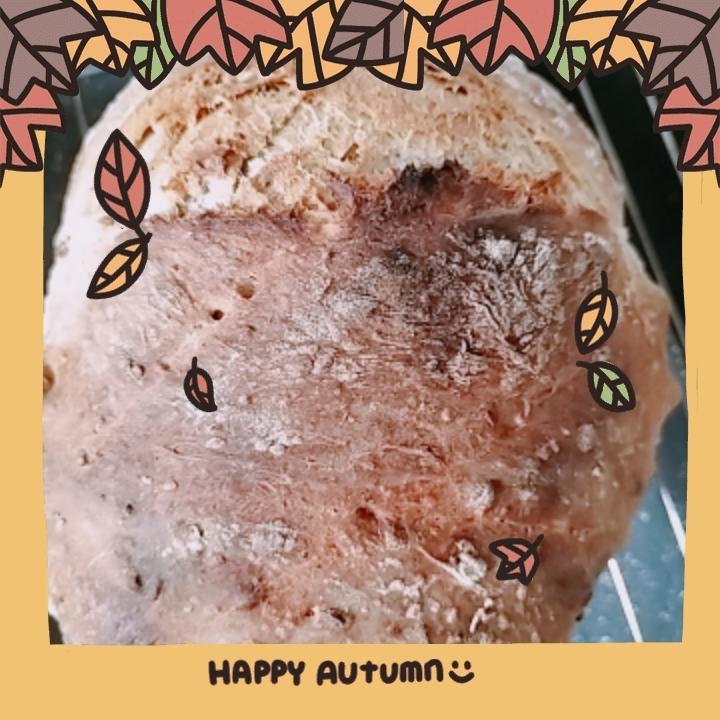绝密！8分钟，8块钱，吃8天的正宗欧包loaf来了！