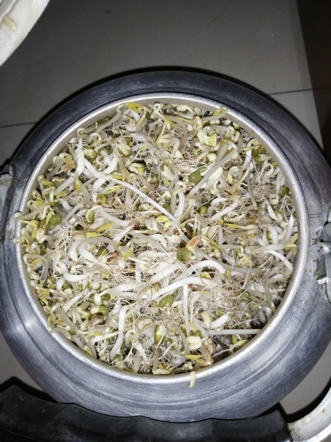 自己发绿豆芽