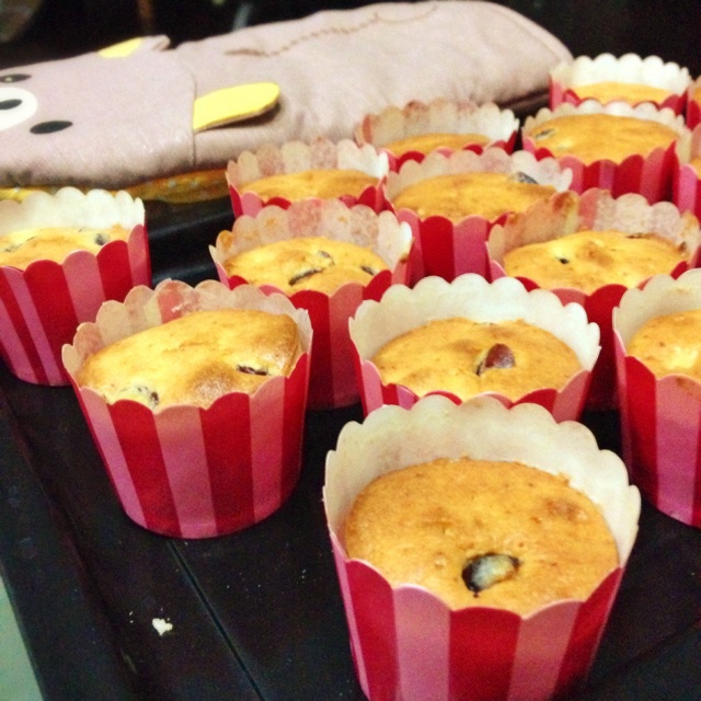 酸奶油万能玛芬