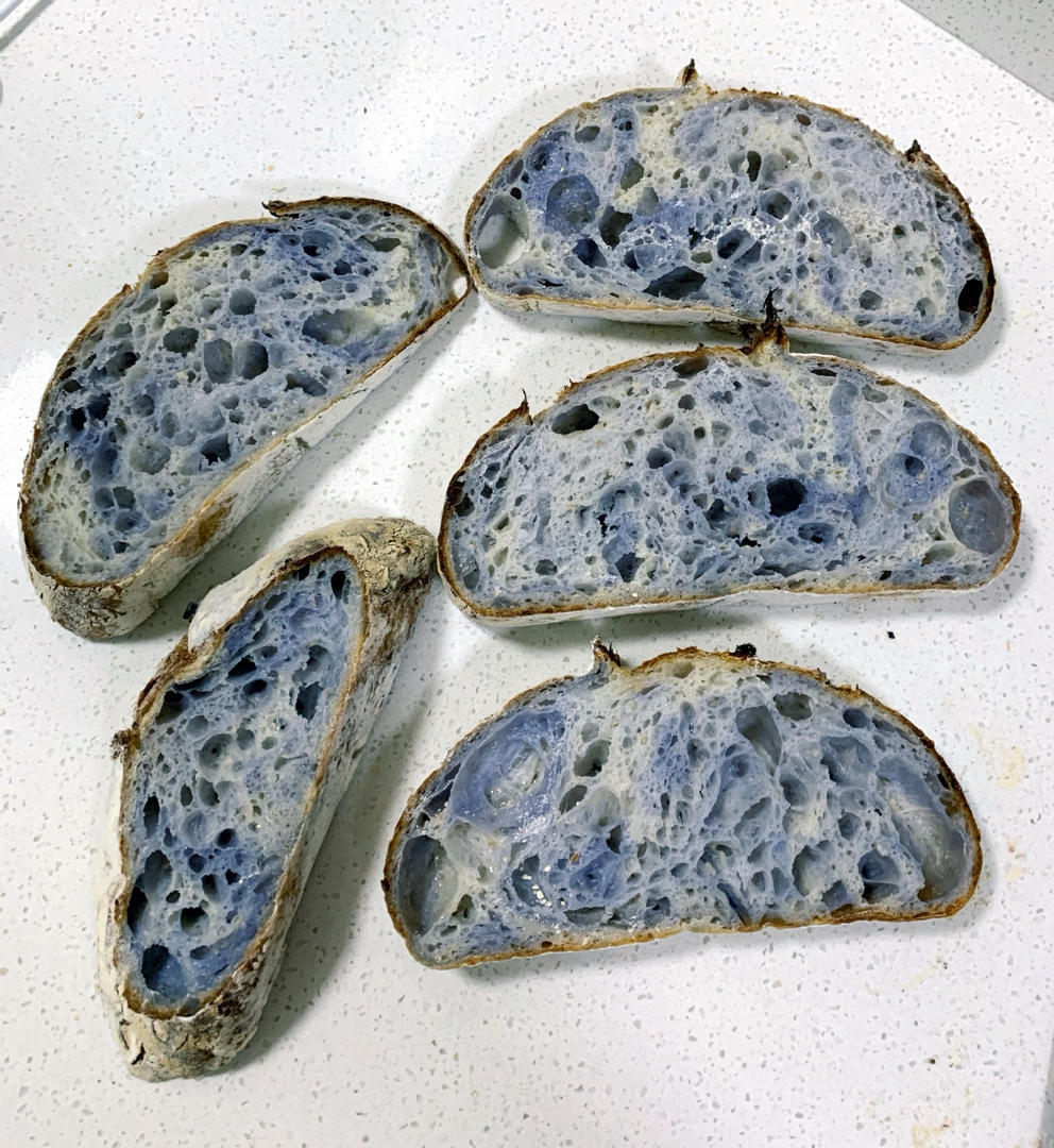 【天然酵种】蝶豆花双色硬欧