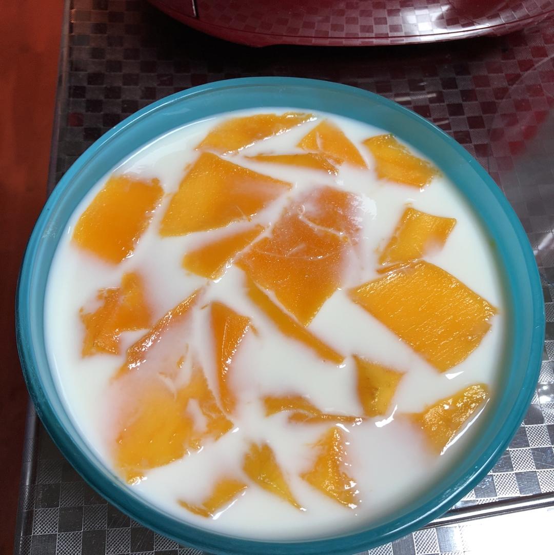 芒果牛奶果冻
