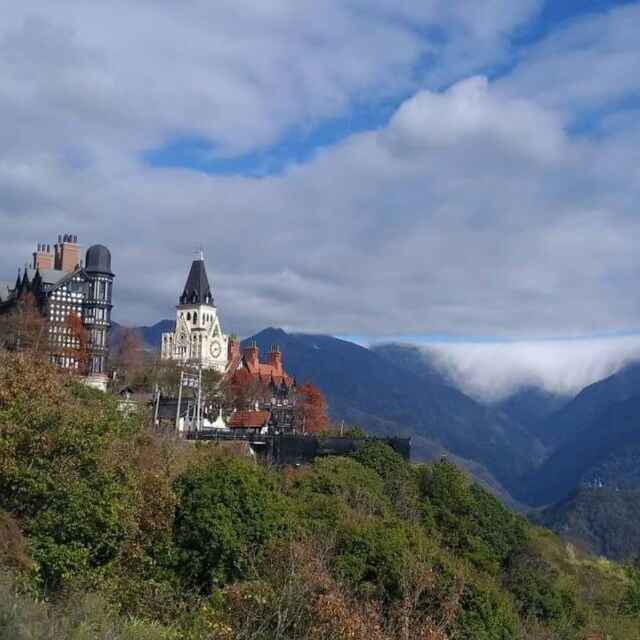 采桑子同学