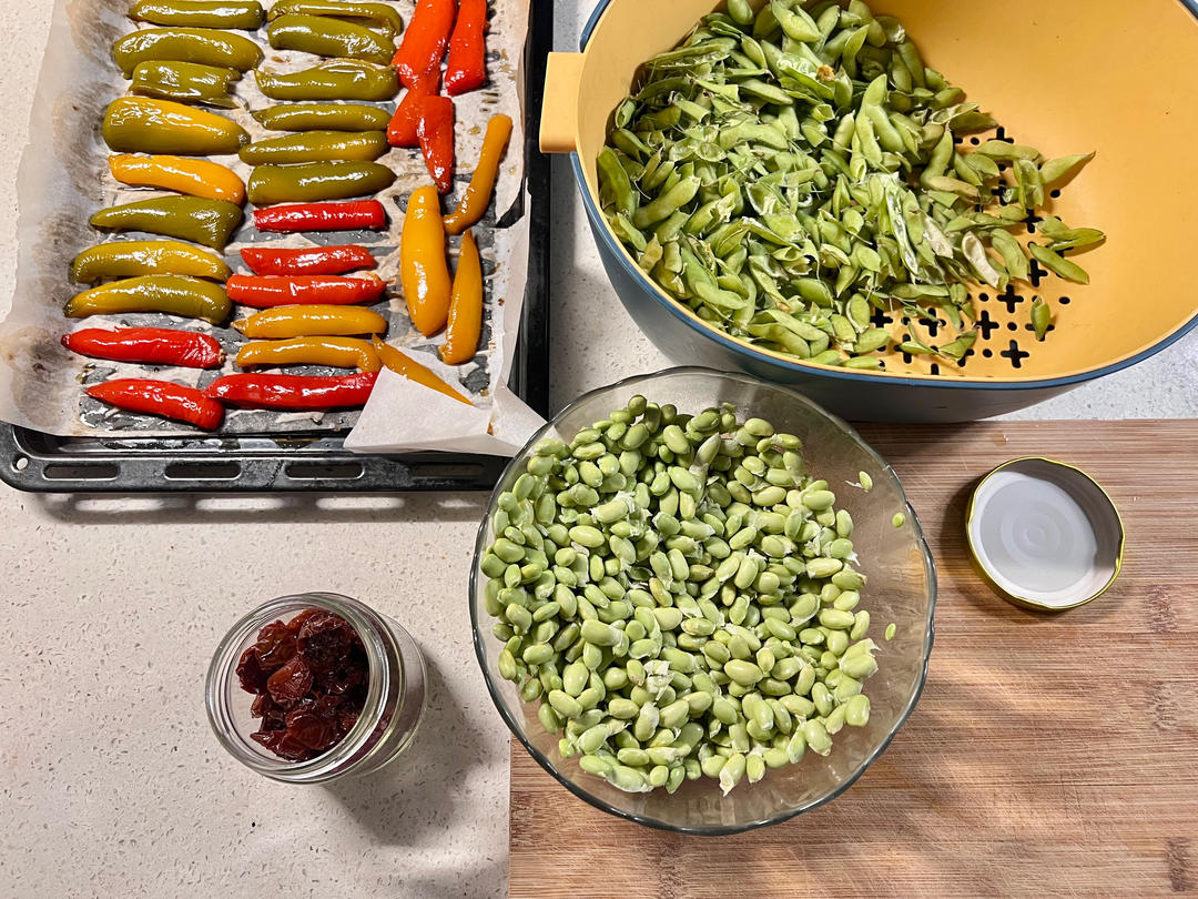 Vitamix版超醇厚豆浆