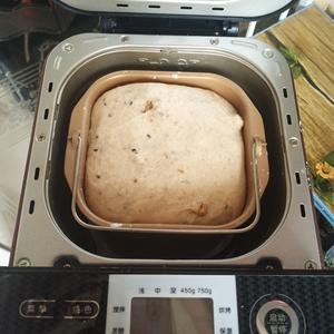 全麦坚果小餐包          （简单，快手低热量）的做法 步骤5