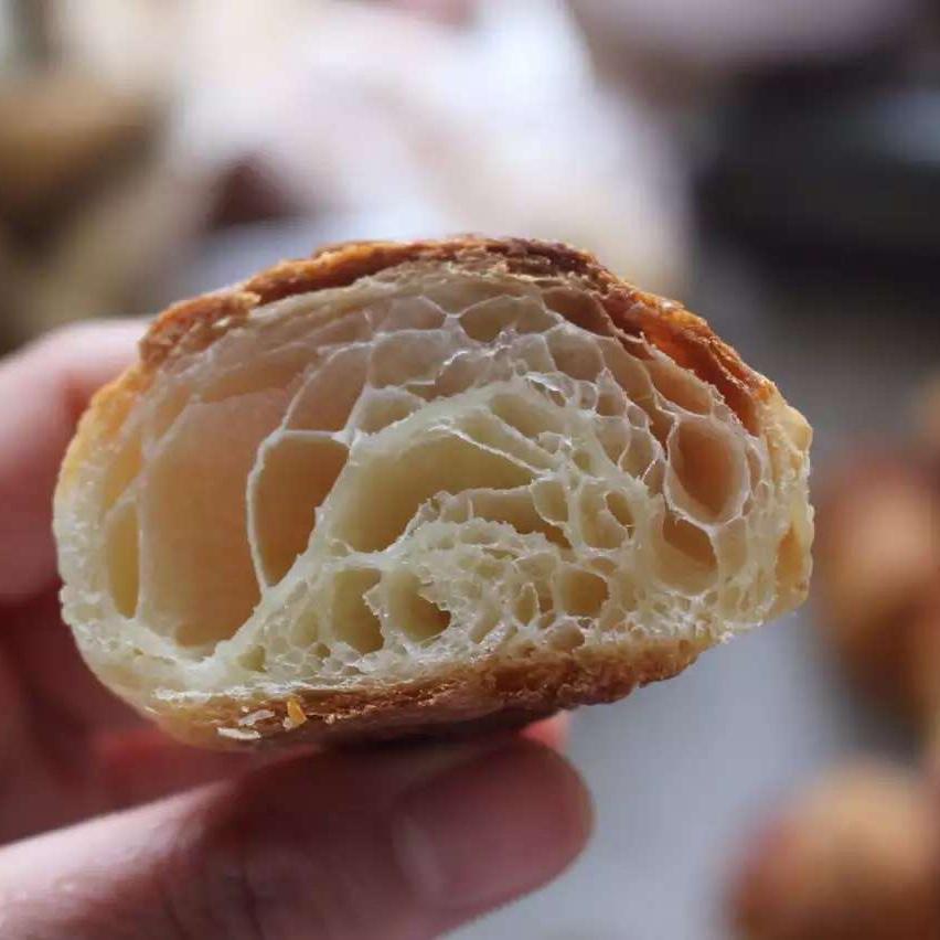 可颂—爱和自由