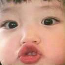 手机用户0810_8m59