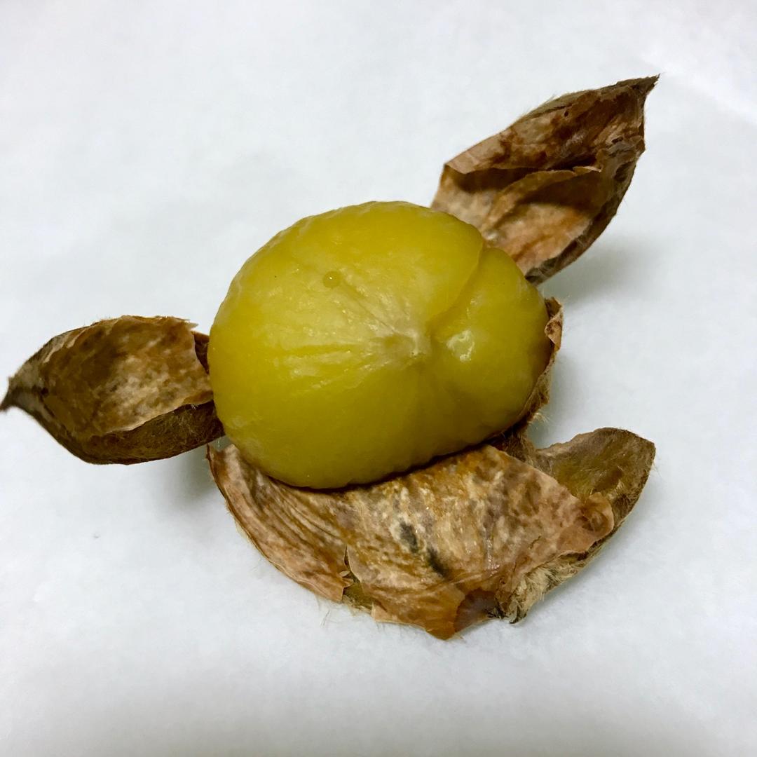 惠子s_s做的堂妈教你巧剥栗子壳