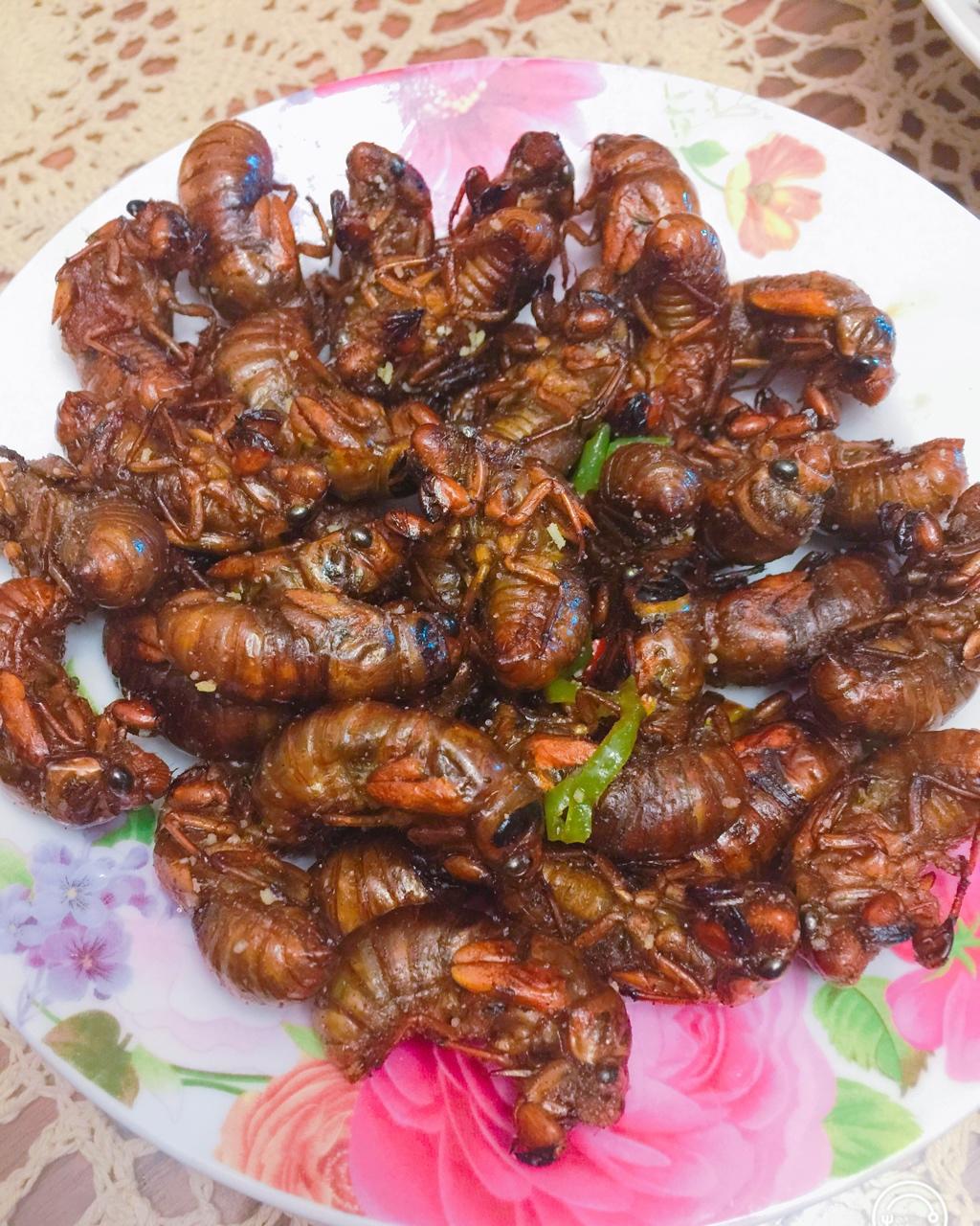 静静赏花开做的爆炒知了猴