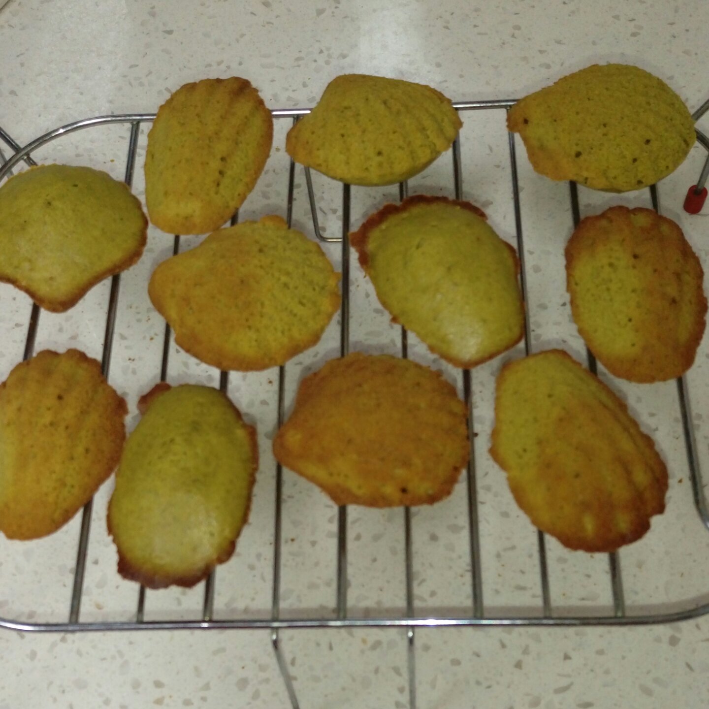 抹茶橄榄油蓝莓玛德琳