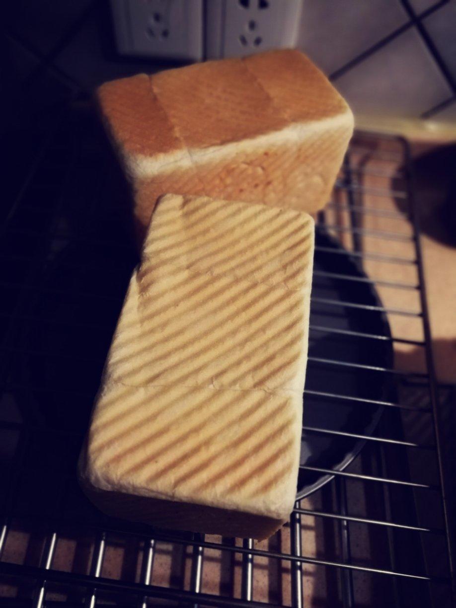 《Tinrry+》软绵绵的白吐司