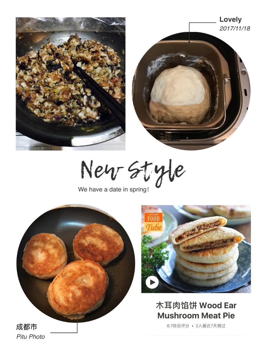 木耳肉馅饼 Wood Ear Mushroom Meat Pie