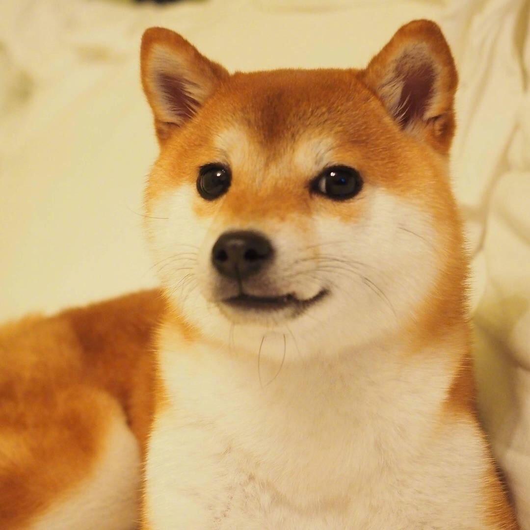 阿硕阿博