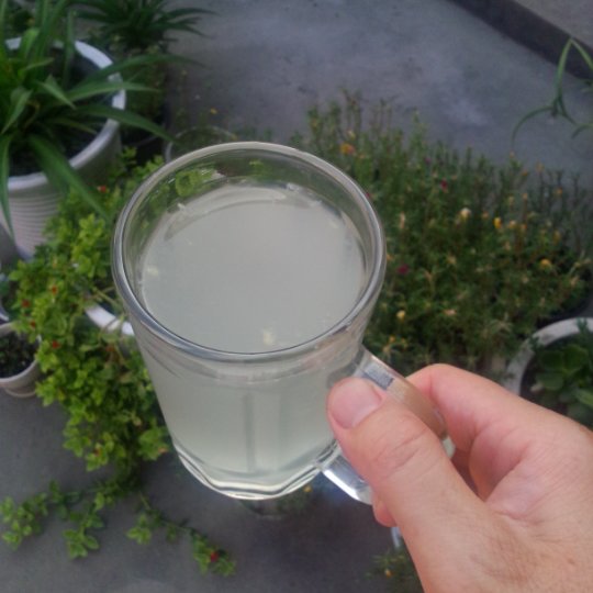 夏日清爽柠檬饮 Lemon Squash