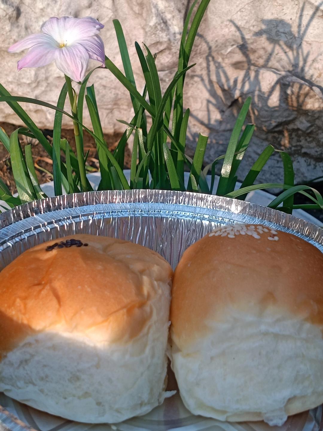 多力玉米油—柔软香甜一次发酵小餐包