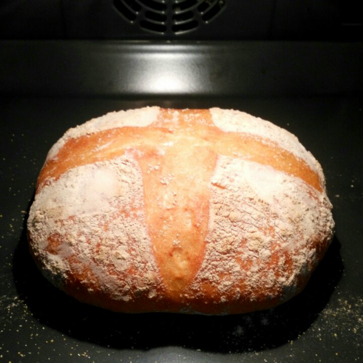 5分钟面包(1)-法国球形面包Boule（基础面团）