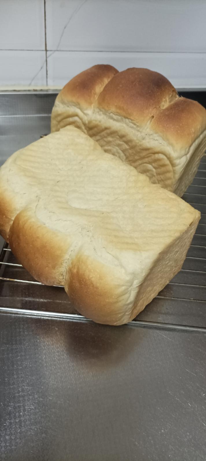 波兰种牛奶吐司