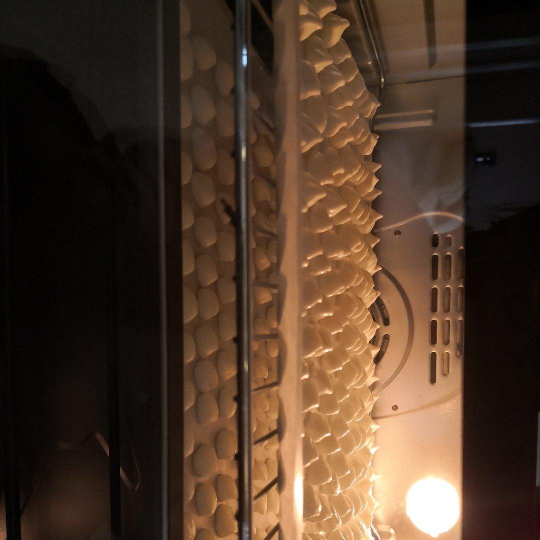 溶豆 零失败教程 酸奶溶豆 Yogurt melts 小朋友小零嘴