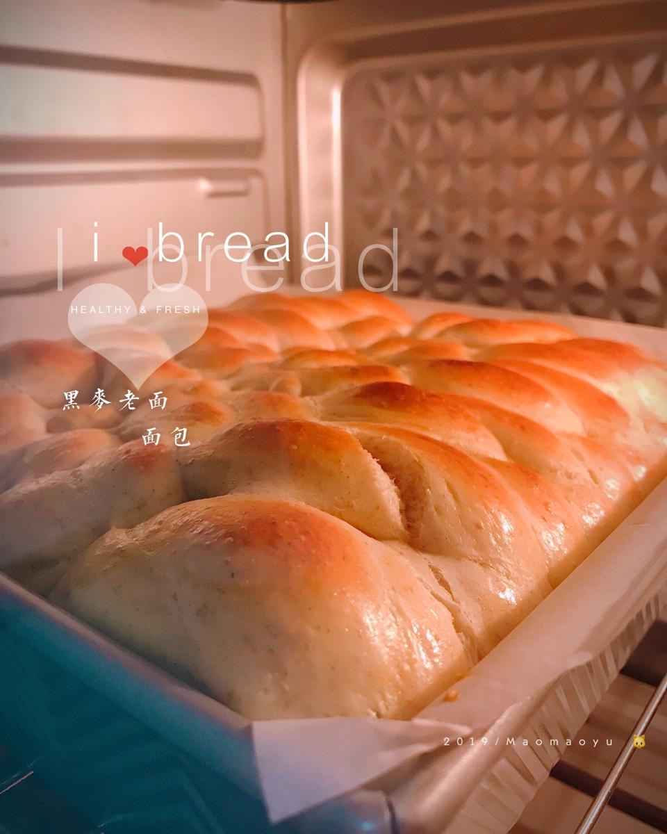 老面包（爱和自由）