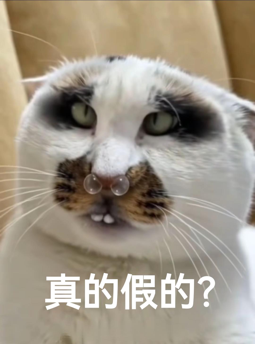 卤鸭货