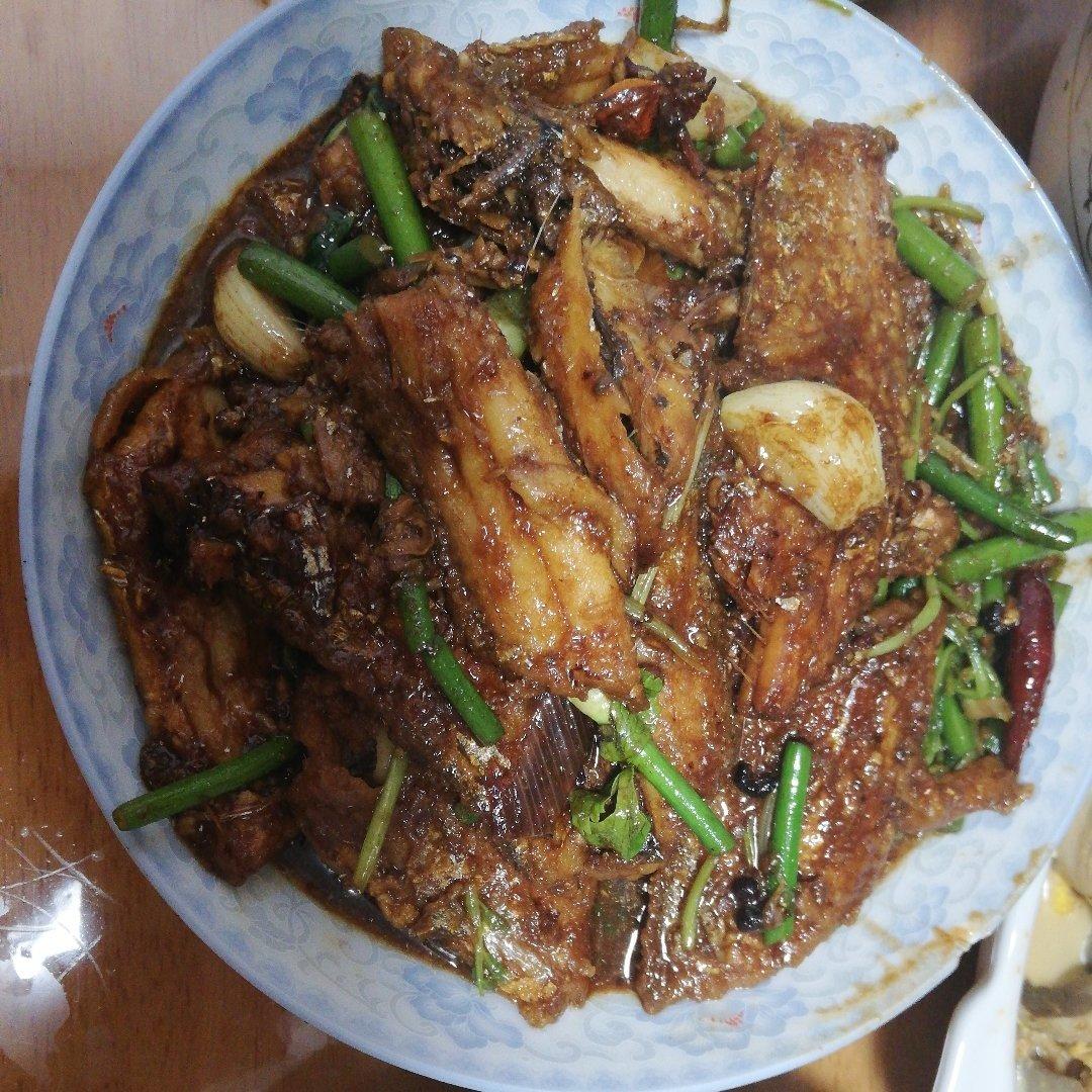 熬带鱼