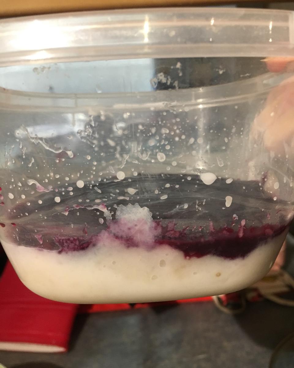 蓝莓山药泥