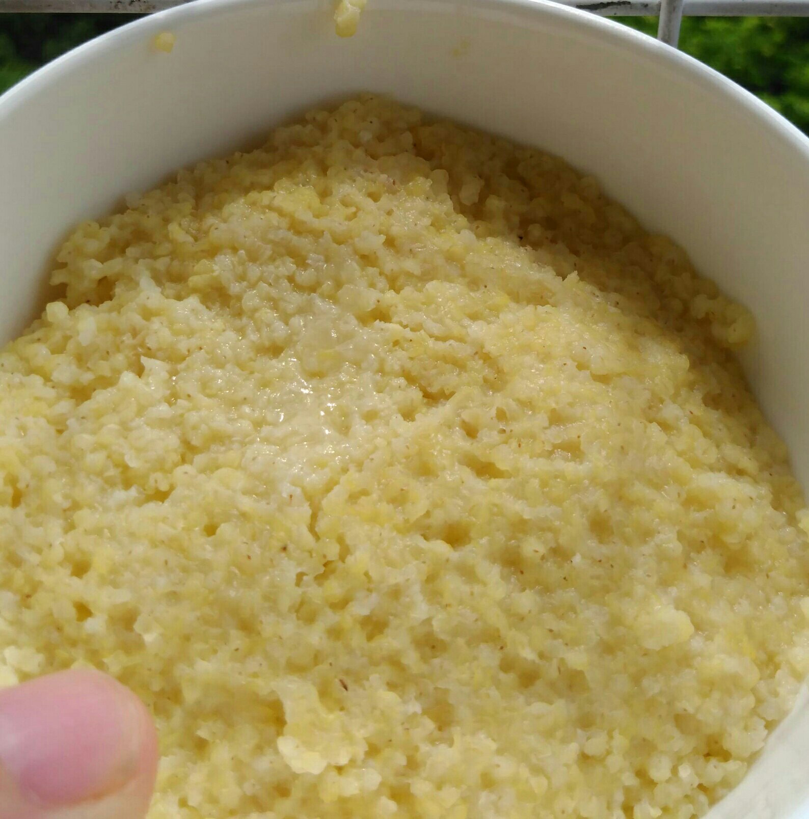 小米饭——电饭锅做法