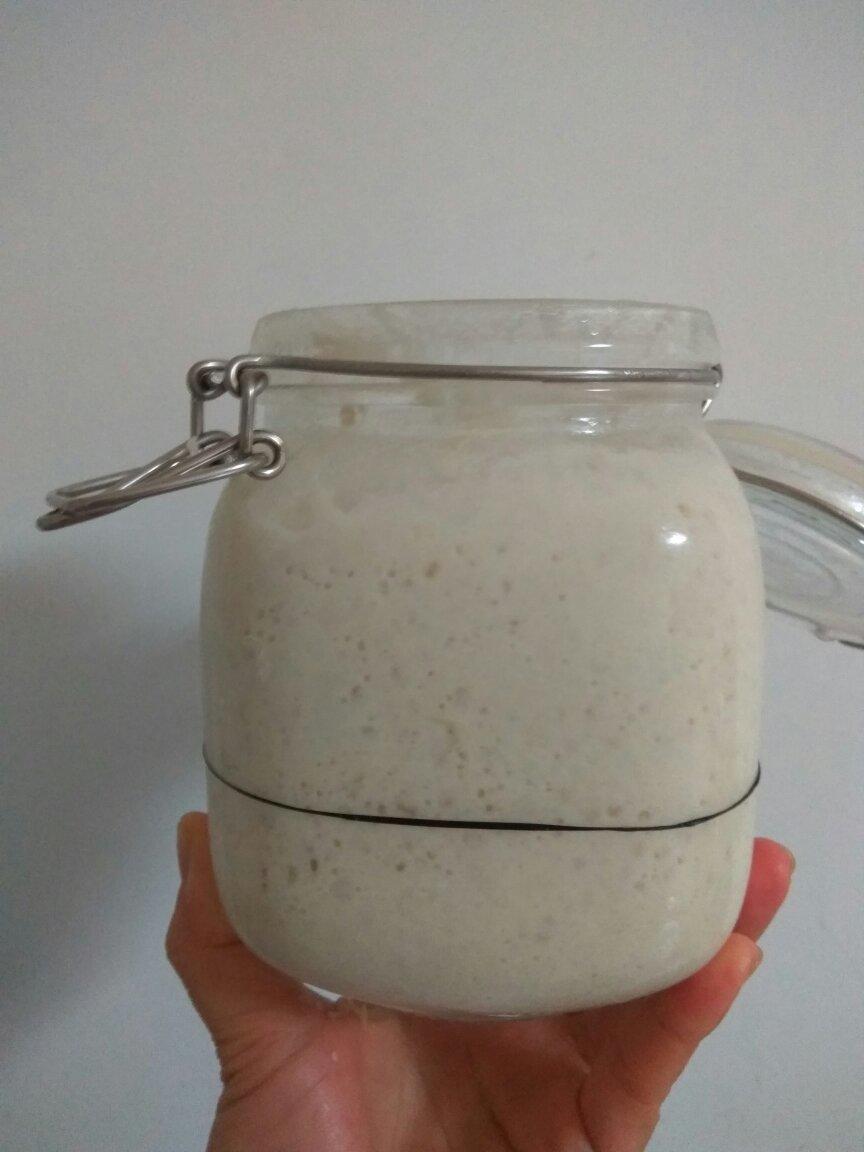 液态鲁邦种/天然酵母/酵种，液态种和硬种转换教程