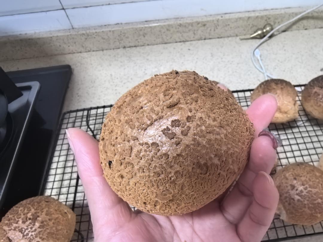 恐龙蛋·麻薯面包·麻薯包 自己做了1000➕的私人配方