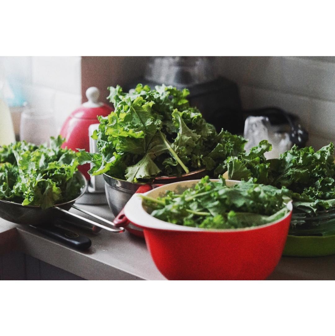 相机吃的菜哦(◍•ᴗ•◍)